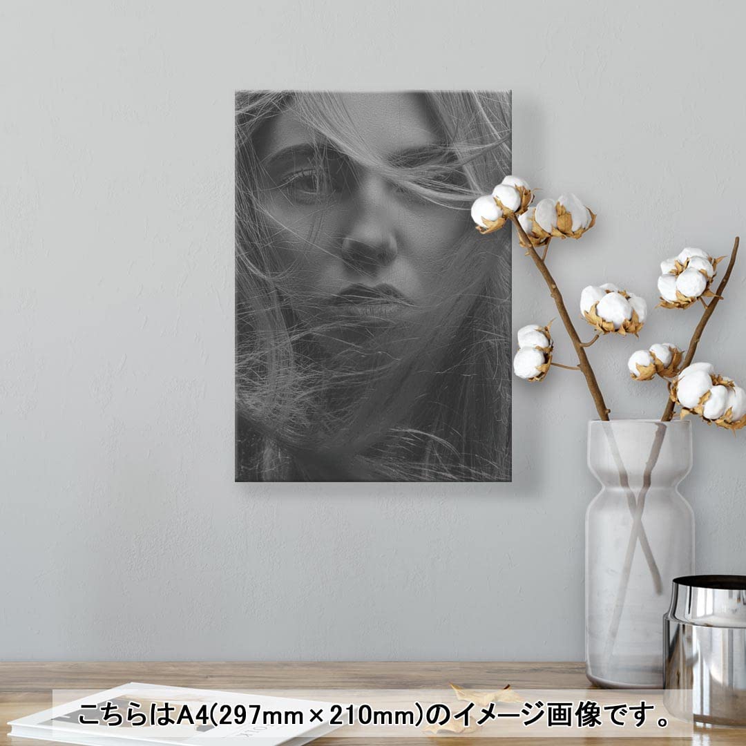 Amazon.co.jp: アートパネル 絵 絵画 飾り igsticker 297mmx210mm A4